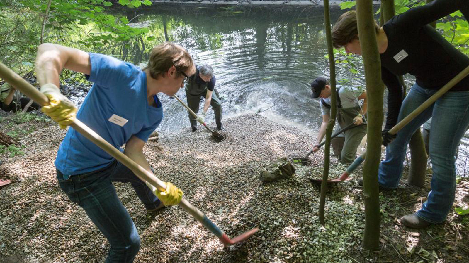 Ehrenamtliche beim Kiesschaufeln für die Alster. Bei Planung und Umsetzung partizipieren Ehrenamtliche. Kies stellt ein wertvolles Substrat der Gewässer dar.
