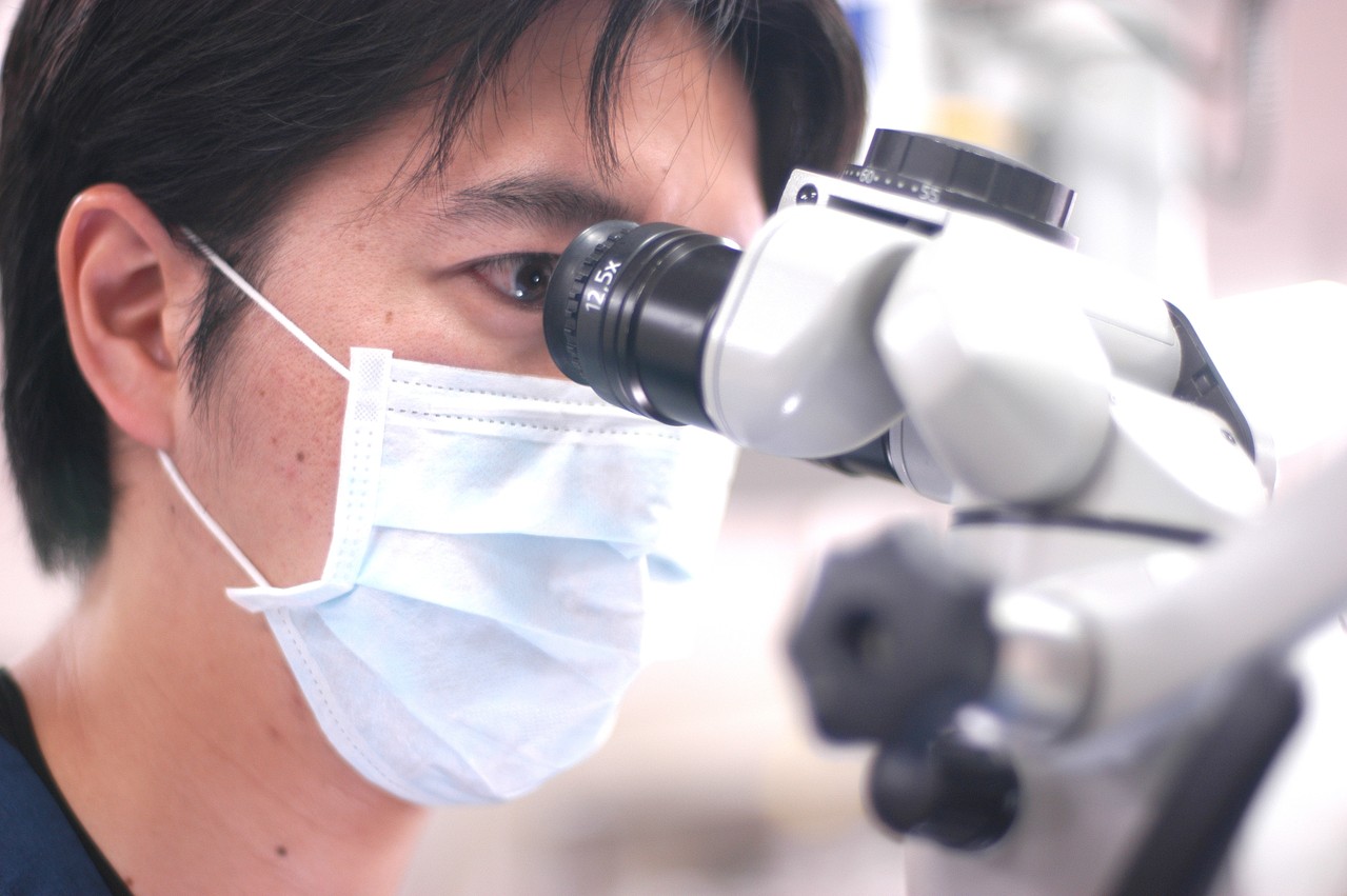 【裁断済み】治癒の歯内療法 ENDODONTICS 治癒の歯内療法 = BIOLOGY BASED ENDODONTICS : エ… 治癒の歯内