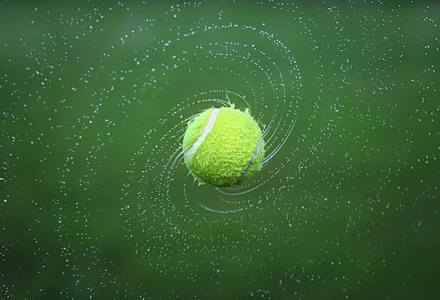 Zverev & Co.: Deutsche Tennischampions im Match