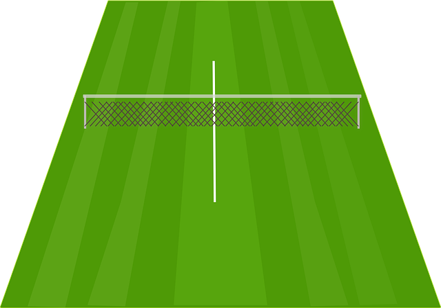 Terra Wortmann Open 2026: Hochkarätiges Weltklassefeld trifft sich in Halle/Westfalen