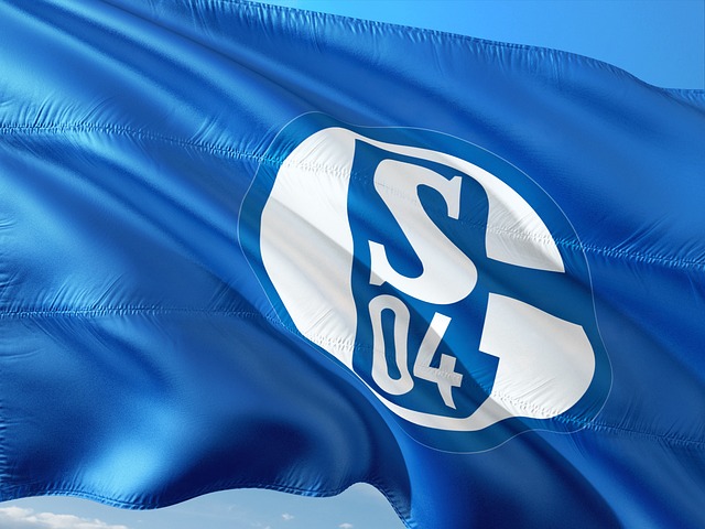 Schalke ist zurück in der Bundesliga - Sieg gegen Düsseldorf sorgte für Aufstieg ins Oberhaus des deutschen Fußballs - Spieler in der Einzelkritik