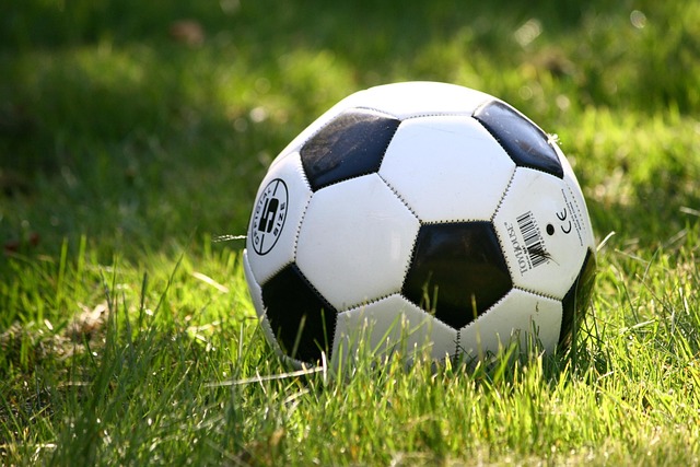 Relegation: Der SC Paderborn schafft die Sensation und steigt in die Bundesliga auf - VfL Wolfsburg geht in die 2. Liga