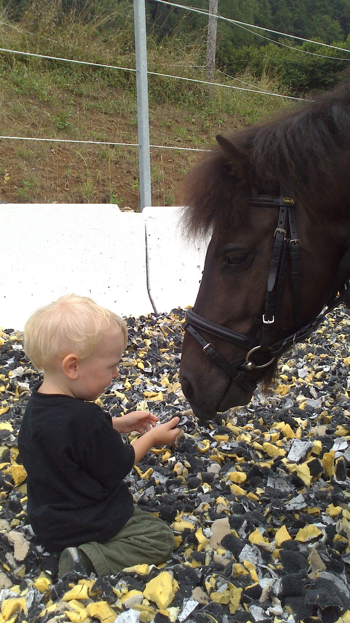 Juniorchef Michi mit Pony Fifty