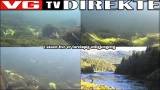 Livestream: Lachsgewässer in Norwegen