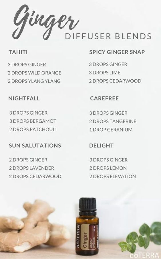 Aroma Welt │Ginger Oil Ingweröl Ingwer ätherisches Öl doTERRA