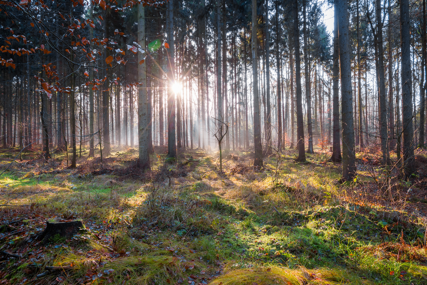Vorschau Bild Landschaft Portfolio