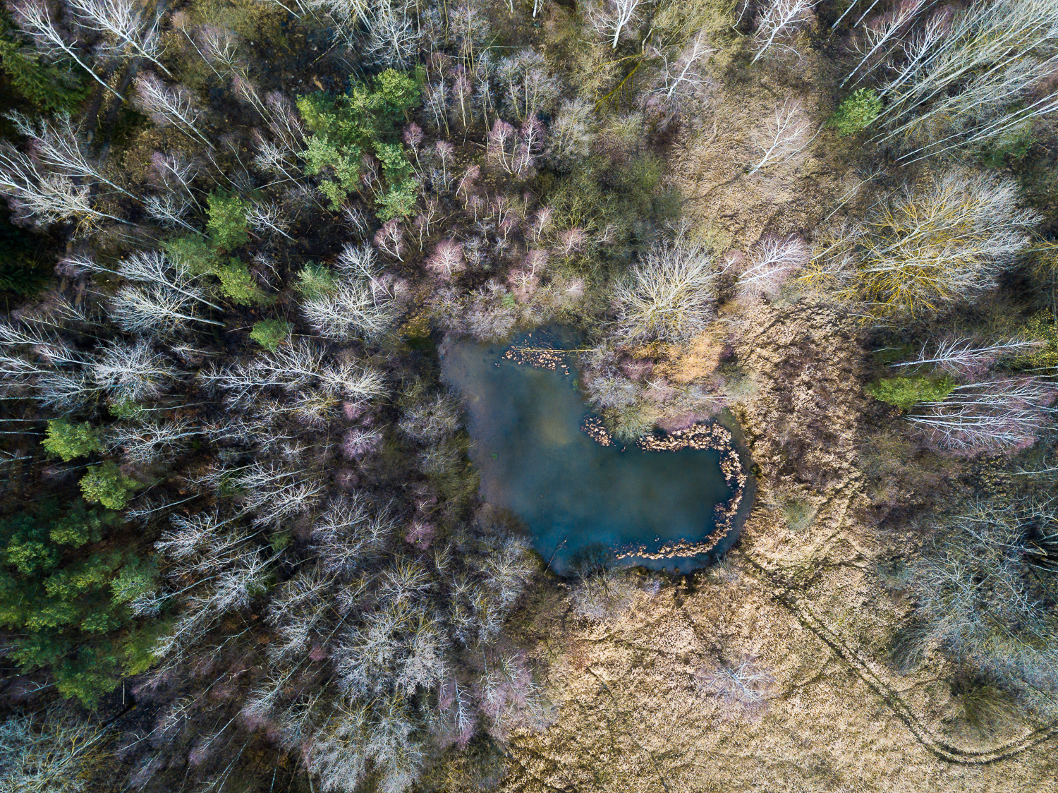 Vorschau Bild Landschaft Portfolio