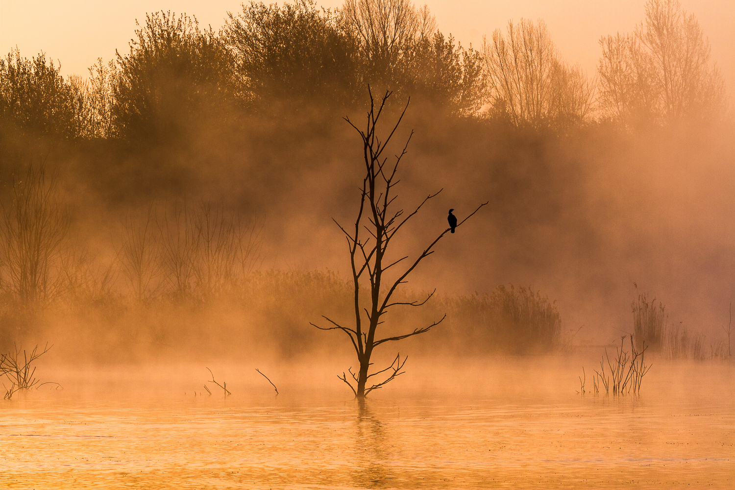 Vorschau Bild Landschaft Portfolio