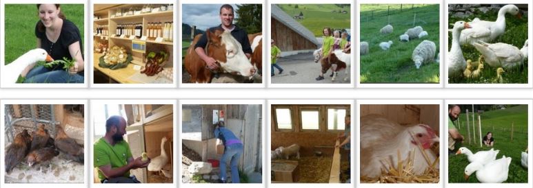 biohof emmenthal klick