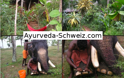 Gute Ayurvedahotels in der Schweiz