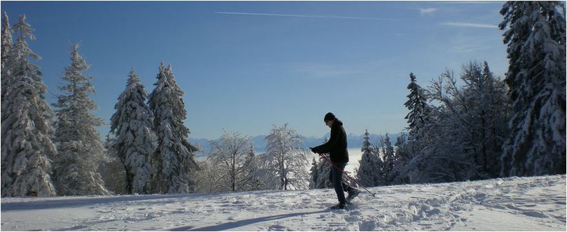 Schneeschutouren Jura und wenn kein Schnee bei unseren Skiurlaubspartnern - klick Skiurlaub Schweiz