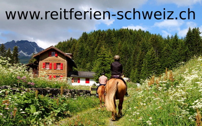 Reitferien in der Westschweiz - Partner offen! Nur einer!