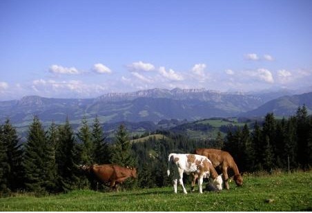 Ferien Schweiz