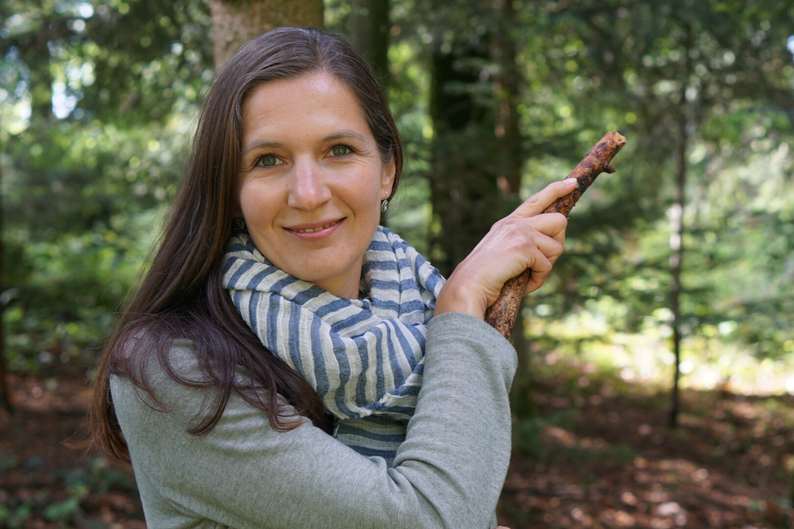 Wald, Tee, Wildkräuter - Natur bringt Heilung