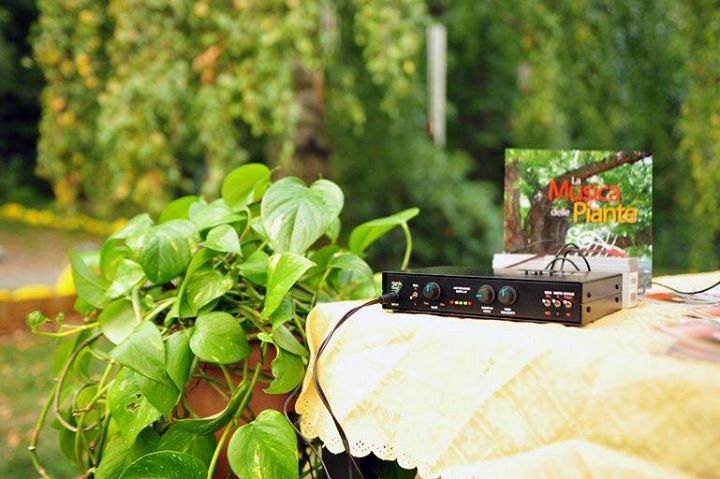 植物の音楽ポータブルデバイス「バンブー」Music of Plants 植物の音楽ポータブルデバイス「バンブー」Music of Plants
