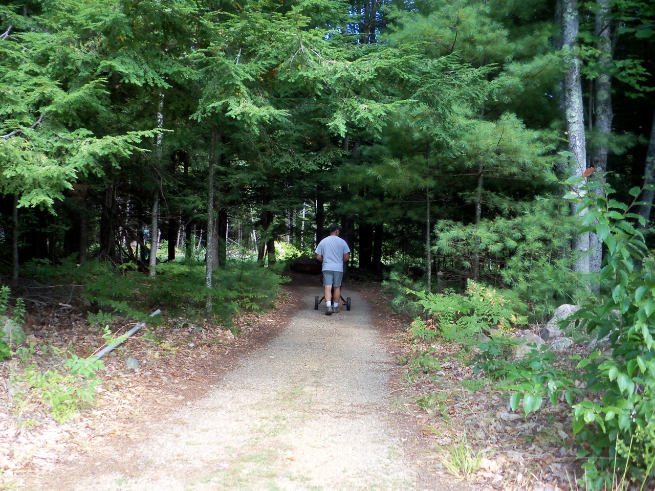 About Us Lebanon Pines Golf Course, Lebanon, Maine