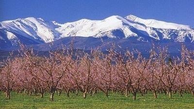 Le canigou