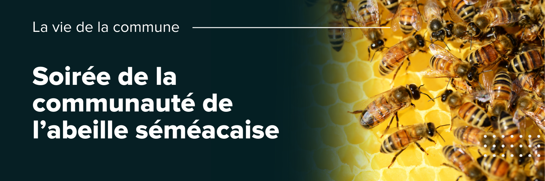Soirée de la communauté de l'abeille Séméacaise