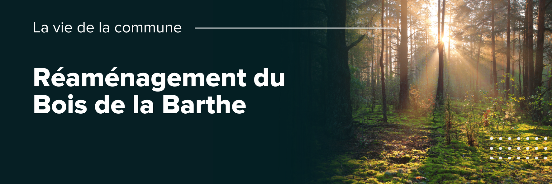 Réaménagement du Bois de la Barthe