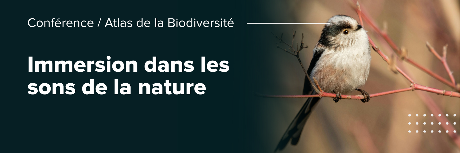 Conférence / Atlas de la Biodiversité