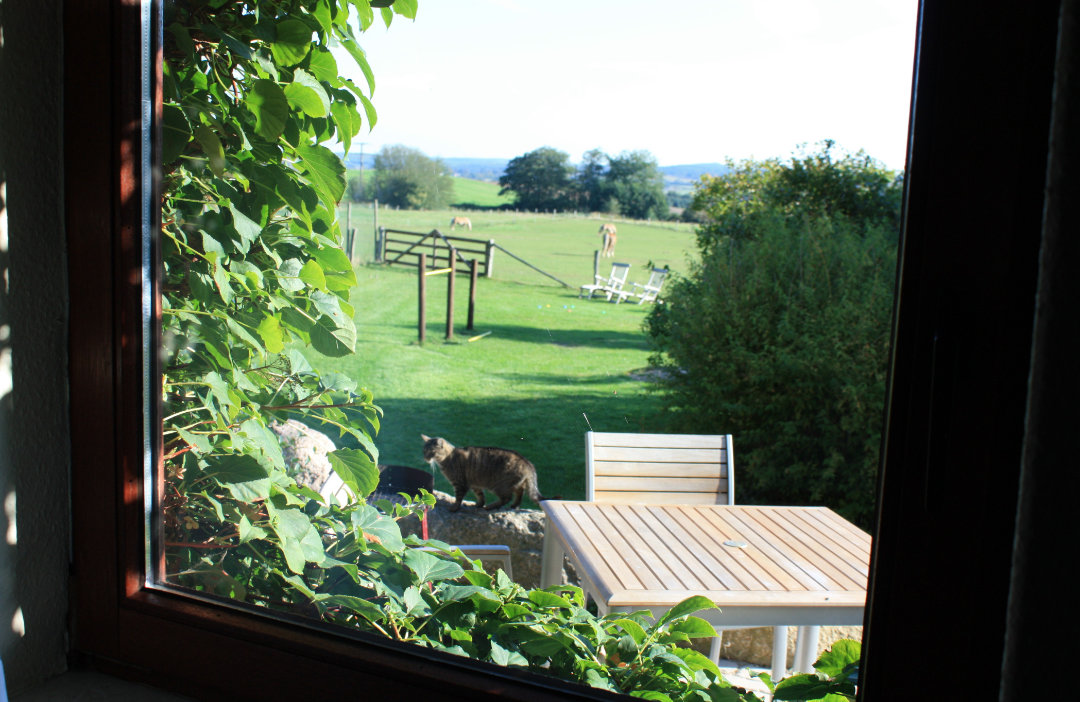 Wiesenblick