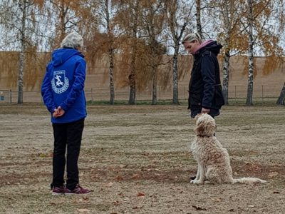 Lehrreiches Obedience Seminar  mit Vera Mayer beim PSV!