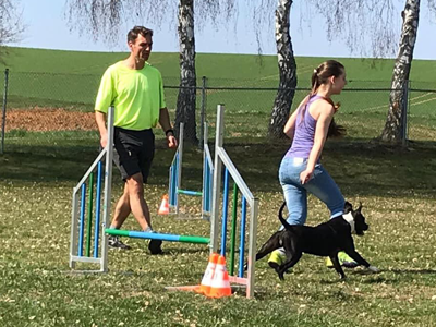 Agility-Seminar mit Kay Tessmer!