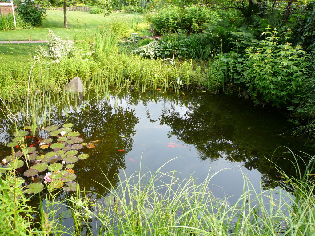 Teichbau Tim Sievers Garten & Landschaftsbau / Region Lüneburg