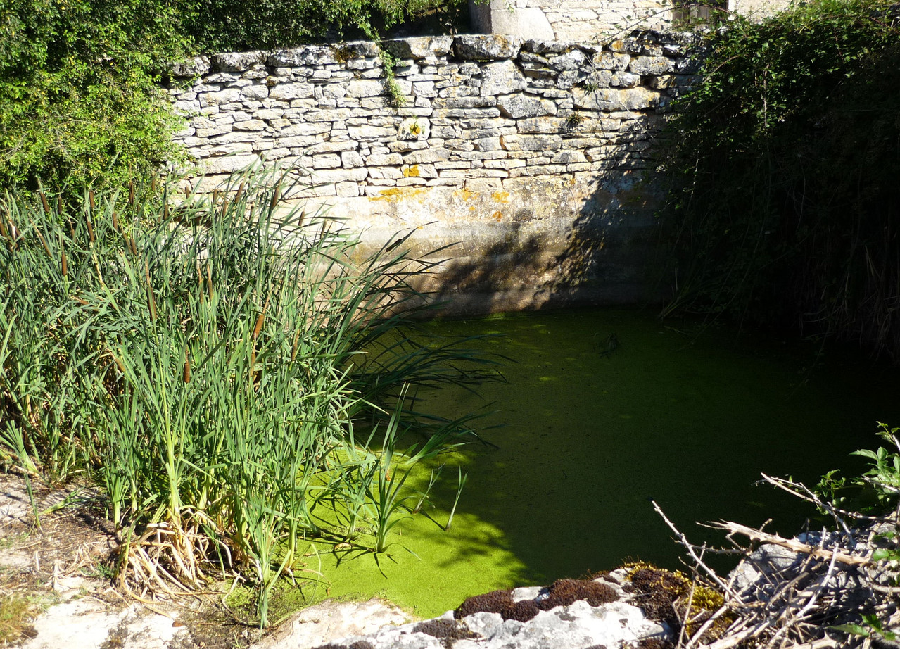 LAC DE SAINT NAMPHAISE