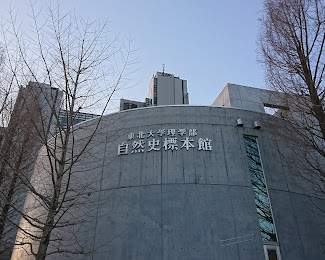東北大学 村田正文博士 グループ