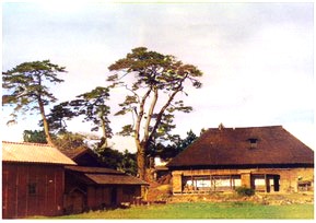 馬場上城天守台五郡松と二代目屋敷の遠景:作家三浦二三男の生家