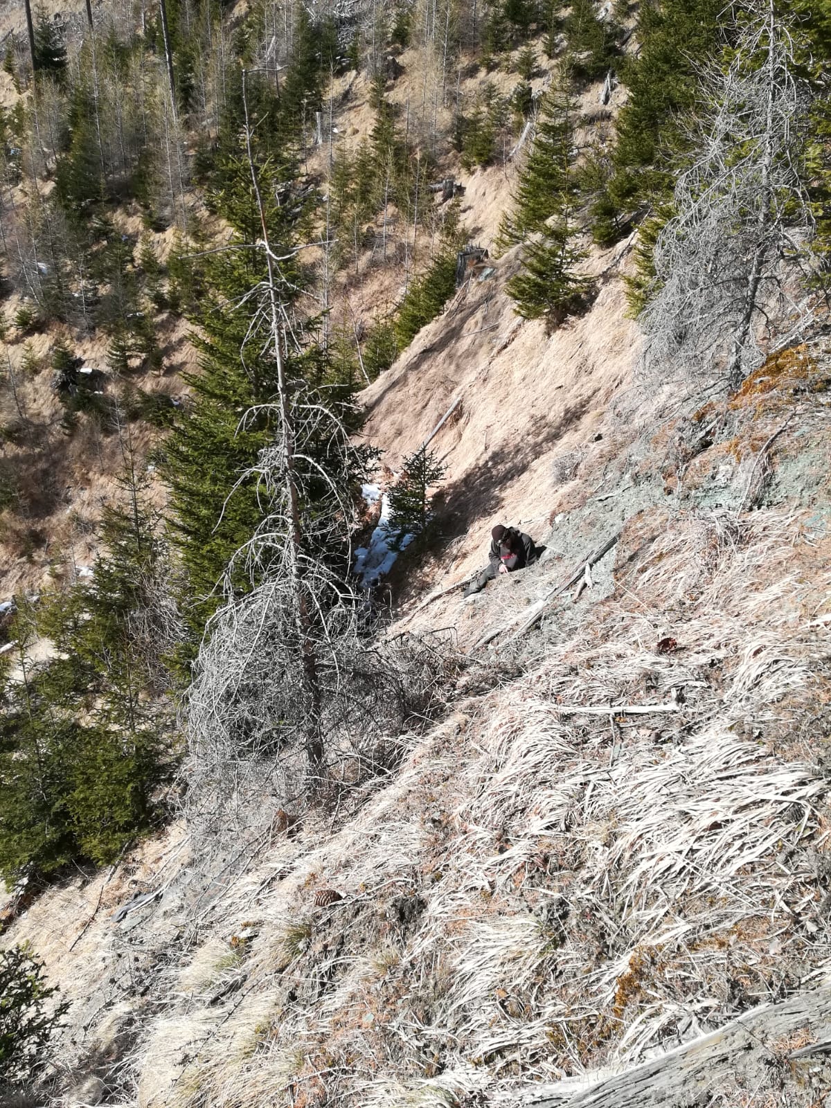 ...searching for clefts...