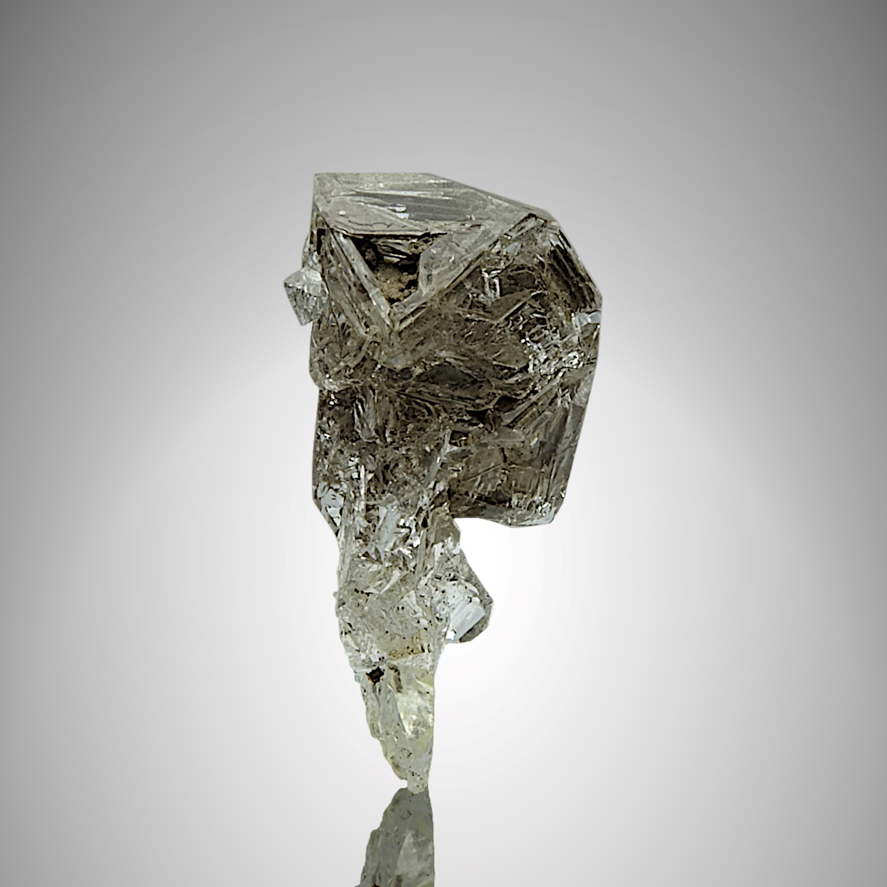 Fensterquartz, Poretta/Emiglia Romana/Italien