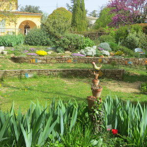 vue de l'Amphithéâtre de verdure et Rocaille