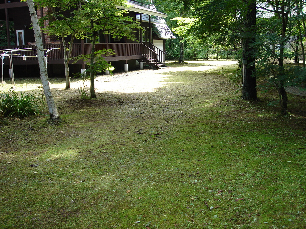 草刈り、屋根掃除、雨樋掃除