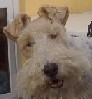 Mönchen