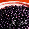 Acai Juice / Suco de Açai / アマゾンのミラクルフルーツアサイージュース　¥500