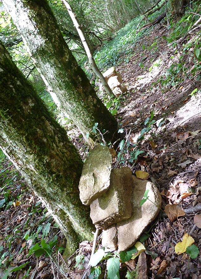 Steine im Wald, Kreativität ist ansteckend