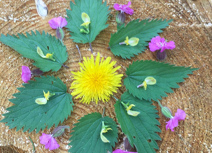 Bluetenmandala