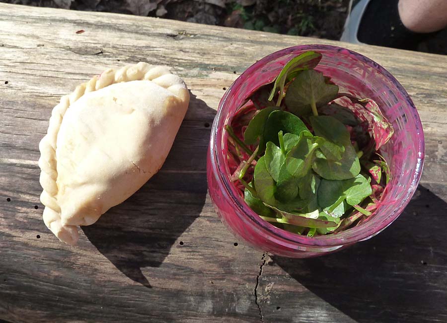 Picknick mit Scharbockskraut