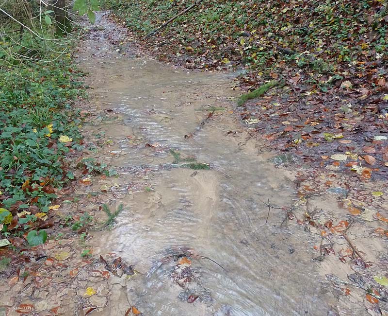 Den Weg haben wir und gestern gespart, temporäre Quelle