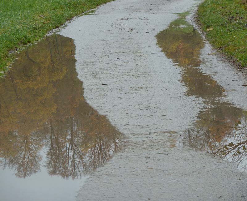 Weg mitnoch mehr Pfützen und Baumspiegelung