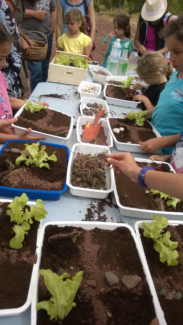 atelier jardin miniature