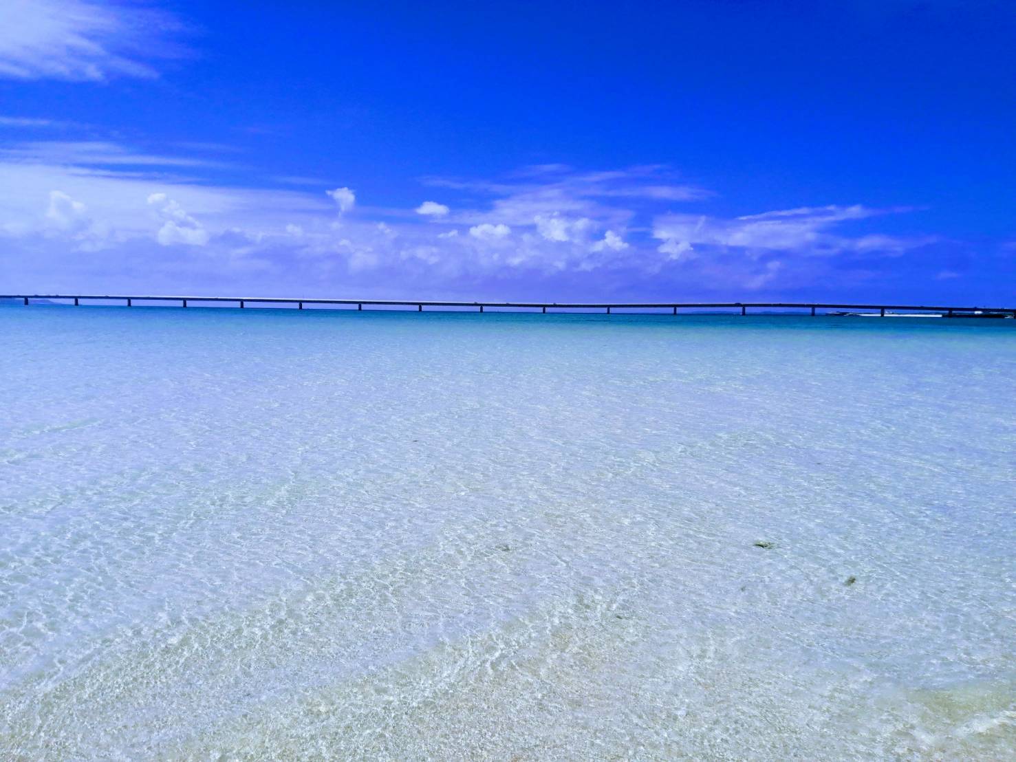 Reservation / Inquiry - 海メルト〜宮古島・海亀シュノーケ