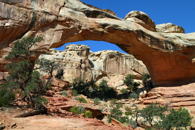 Capitol Reef Nationalpark