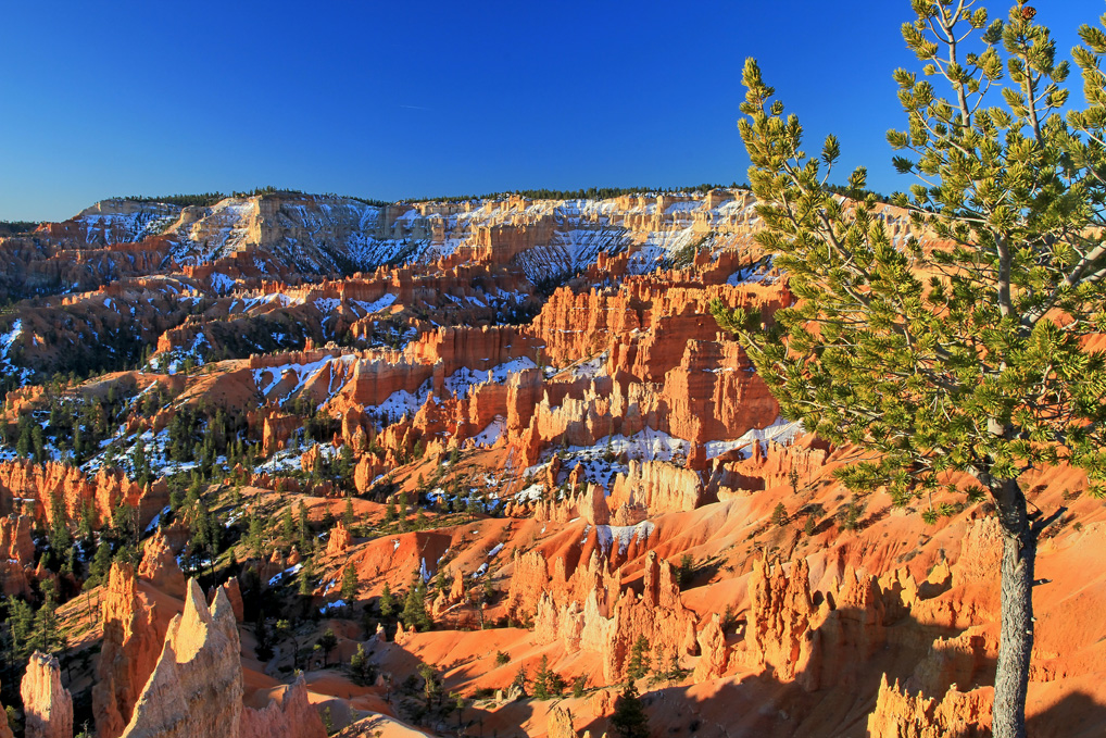 Bryce Canon Nationalpark