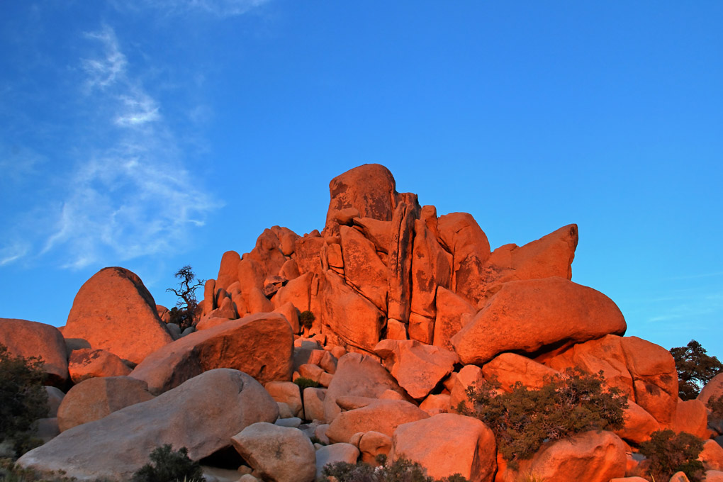 Joshua Tree Nationalpark