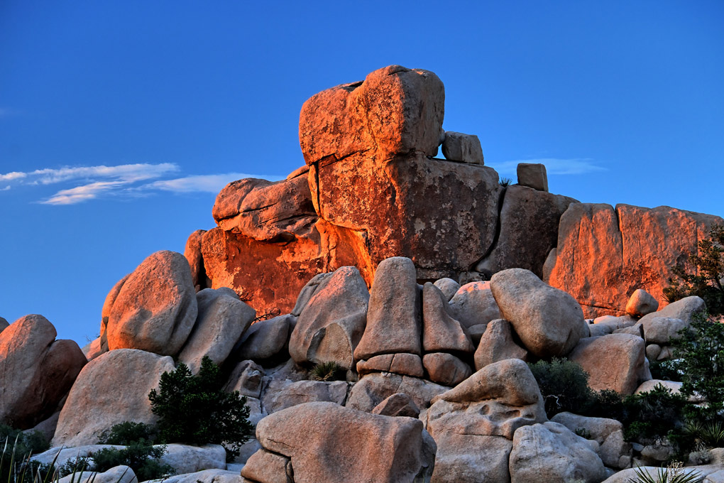 Joshua Tree Nationalpark