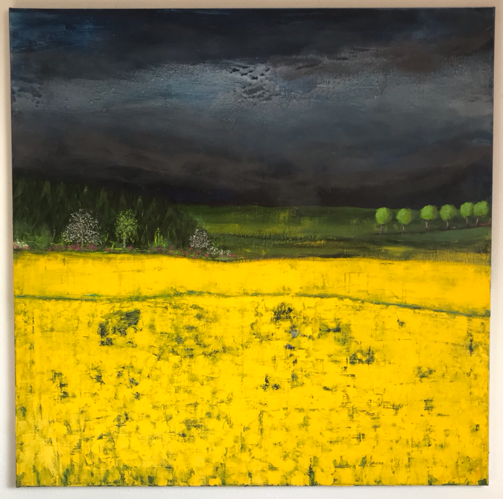 Rapsfeld 100 x 100 cm