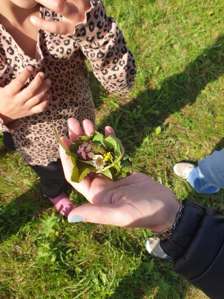 Geschneke aus der Natur für die erste Lehrerin :-)